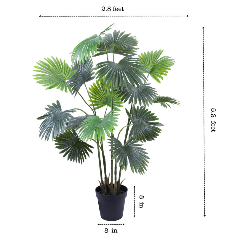 Buy Faux Realistic Fan Palm With Pot - 5.2 Feet Artificial Plants from Vaaree