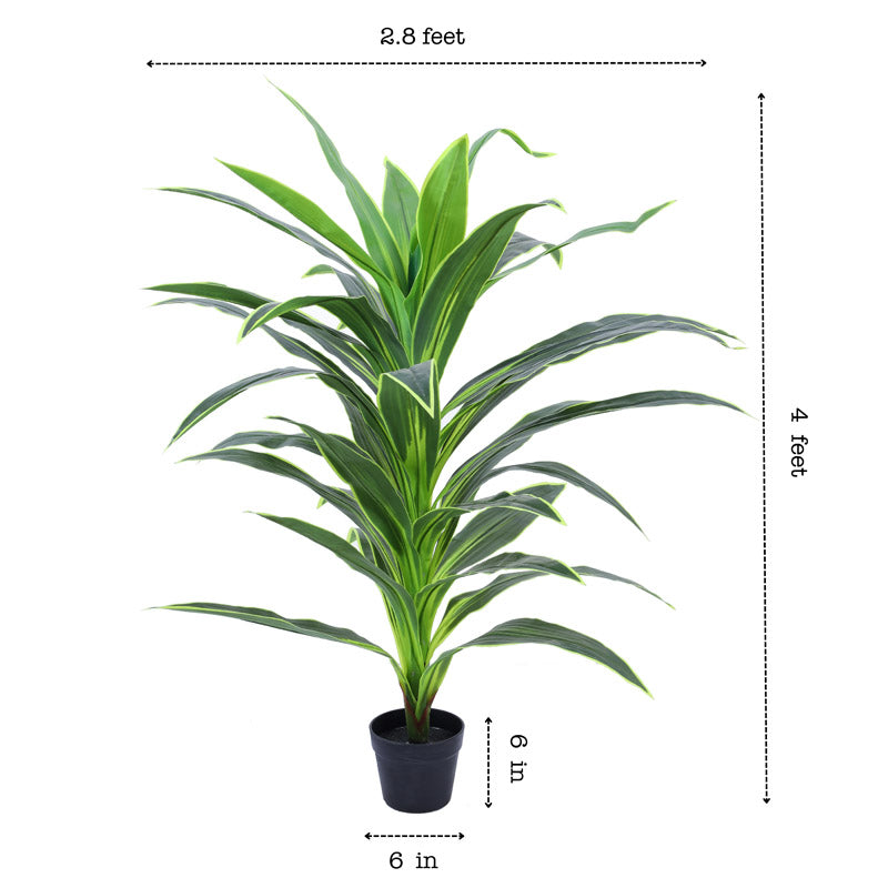 Buy Faux Realistic Dragon Plant With Pot - 3.9 Feet Artificial Plants from Vaaree