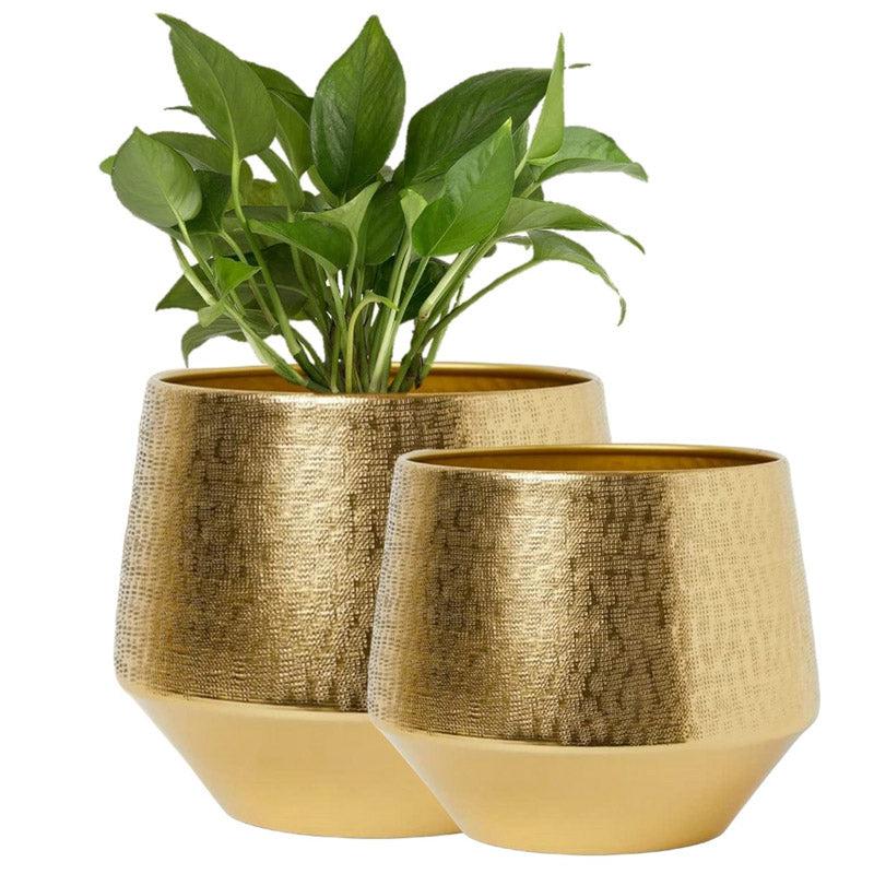 Buy Arrota Gold Planter - Set Of Two Pots & Planters from Vaaree