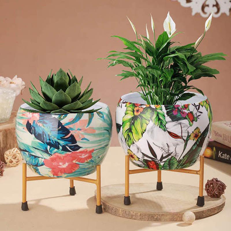 Buy Tropical Tweet Handcrafted Planter With Stand - Four Piece Set Pots & Planters from Vaaree