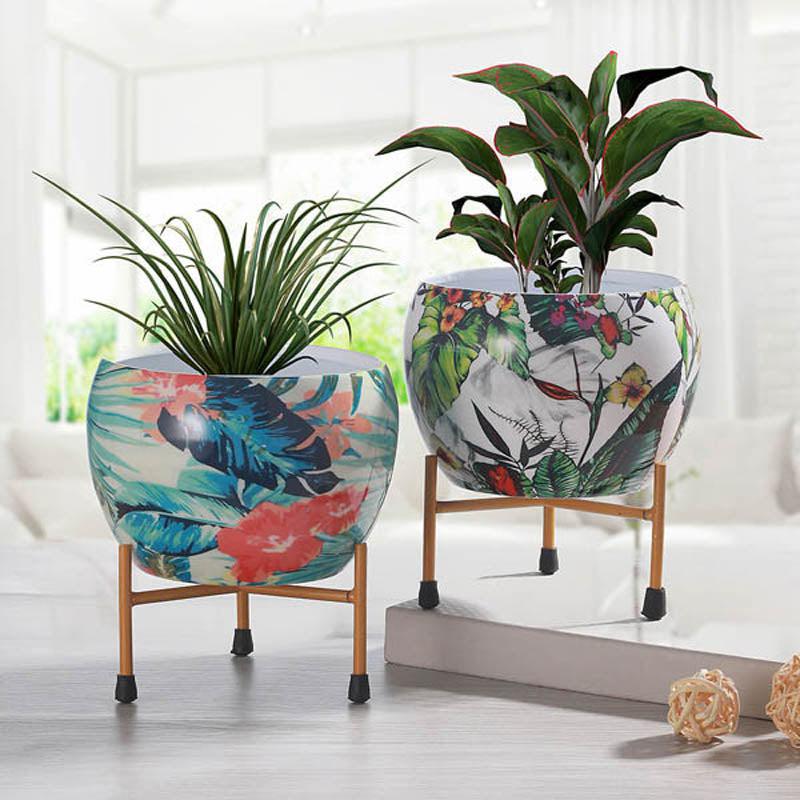 Buy Tropical Tweet Handcrafted Planter With Stand - Four Piece Set Pots & Planters from Vaaree