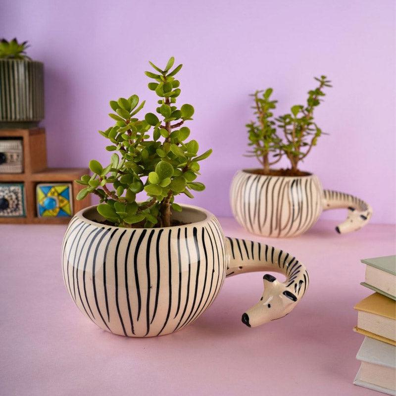 Buy Zebra Zola Planter Pots & Planters from Vaaree