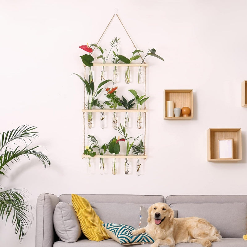 Buy Arana Hanging Test Tube Planter Pots & Planters from Vaaree