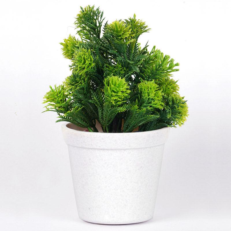 Buy Enjoy Every Moment Planter Pots & Planters from Vaaree