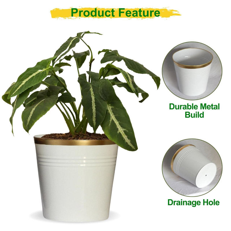 Buy Nishma Golden Planter Pots & Planters from Vaaree