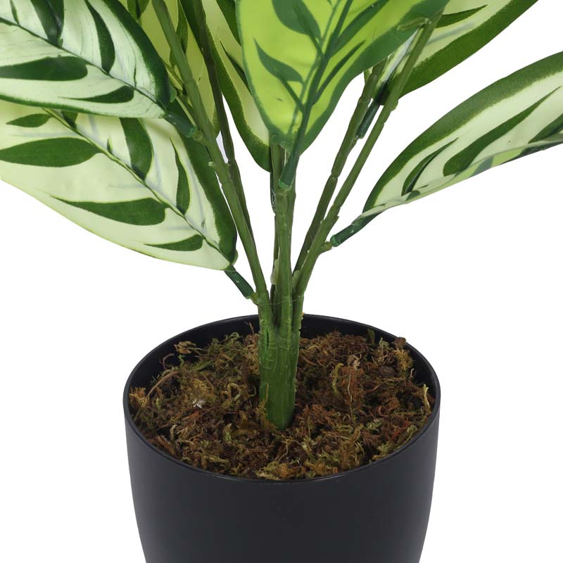 Buy Faux Lush White Dieffenbachia Plant With Pot - 2.3 Feet Artificial Plants from Vaaree