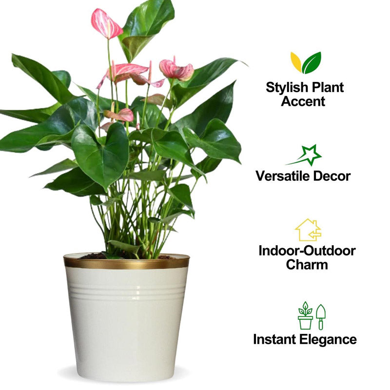 Buy Nishma Golden Planter Pots & Planters from Vaaree