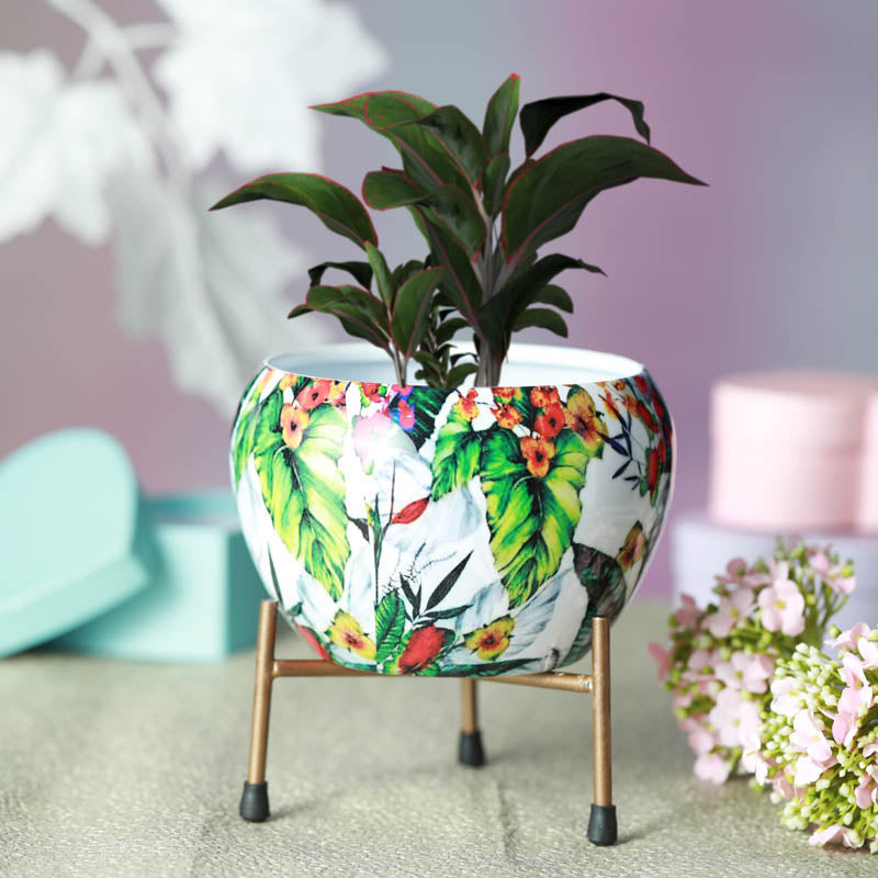 Buy Tropical Tweet Handcrafted Planter With Stand - Four Piece Set Pots & Planters from Vaaree