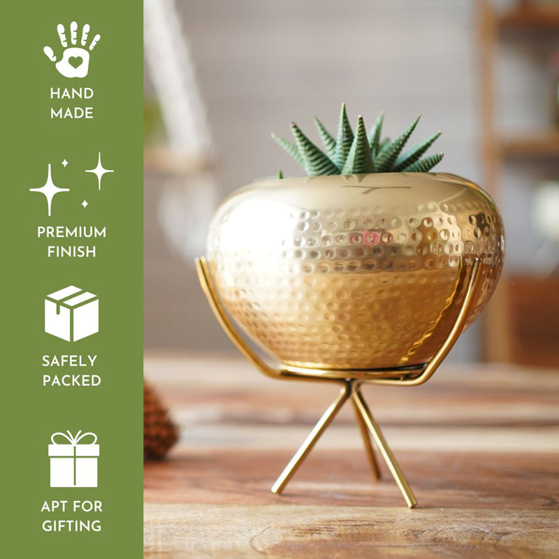 Buy Apple Gale Planter Pots & Planters from Vaaree