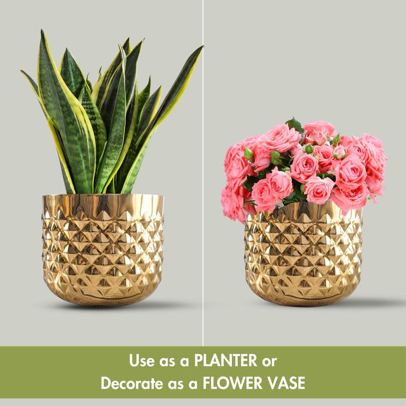 Buy Pineapple Bite Planter - Set Of Two Pots & Planters from Vaaree