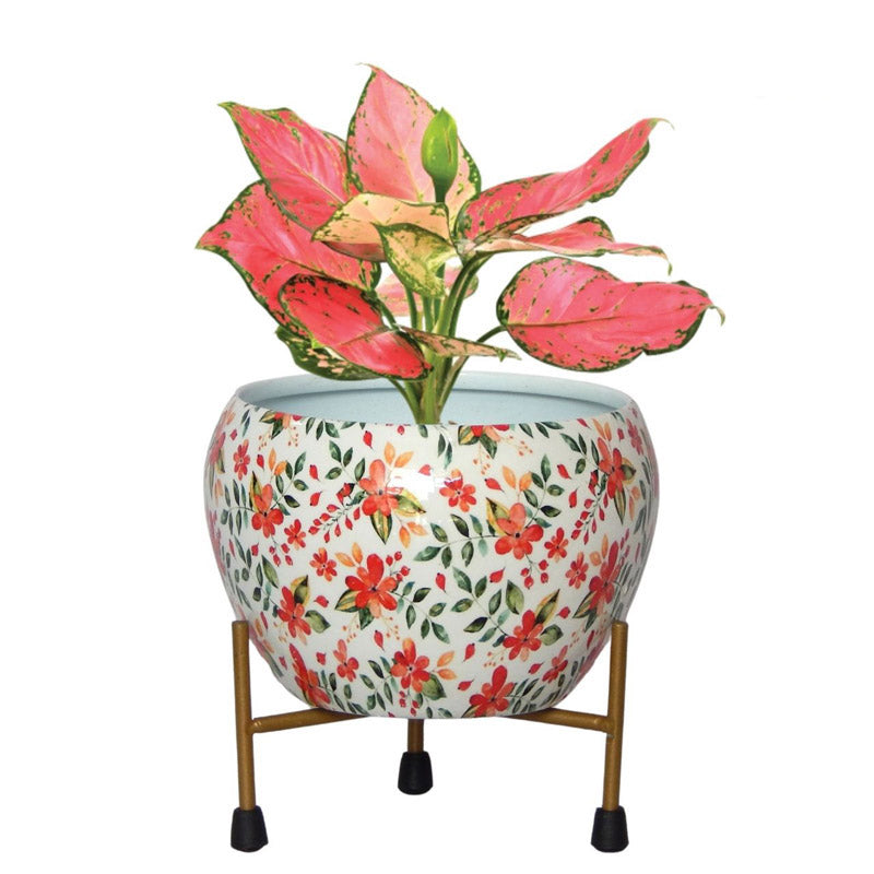 Buy Julietta Peach Floral Planter With Stand Pots & Planters from Vaaree