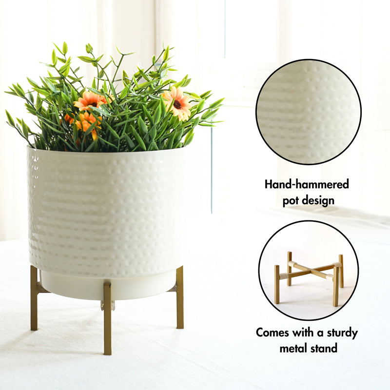 Buy Carya Hammered Planter Pots & Planters from Vaaree