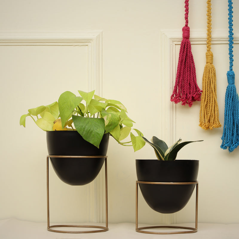 Buy Bellos Planter (Black) - Set Of Two Pots & Planters from Vaaree