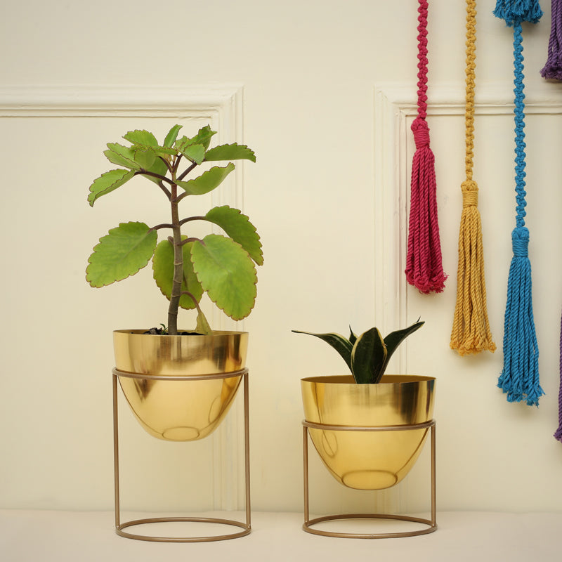 Buy Bellos Planter (Gold) - Set Of Two Pots & Planters from Vaaree