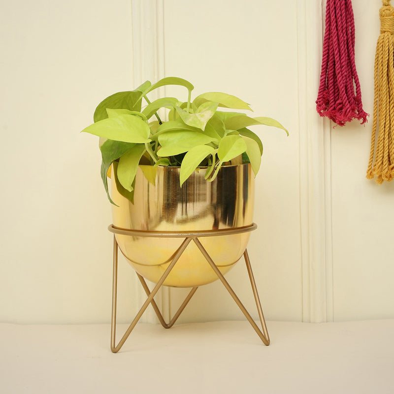 Buy Nuksa Zig Zag Planter - Gold Pots & Planters from Vaaree