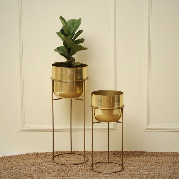 Milara Allure Planter (Gold) - Set Of Two