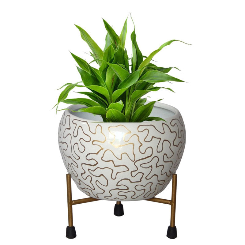 Buy Magna Maze Planter With Stand Pots & Planters from Vaaree