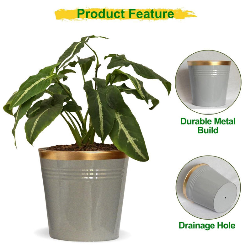 Buy Anira Grey Planter Pots & Planters from Vaaree