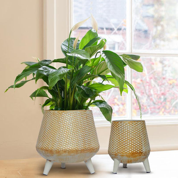 Buy Ocea Metal Planter (White) - Set Of Two Pots & Planters from Vaaree