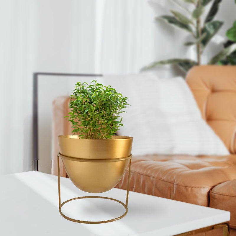 Buy Trudene Metal Pot With Stand - Gold Pots & Planters from Vaaree