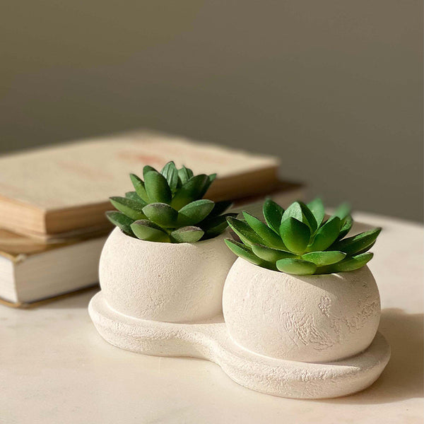 Buy Faux Green Twin Succulent Artificial Plants from Vaaree