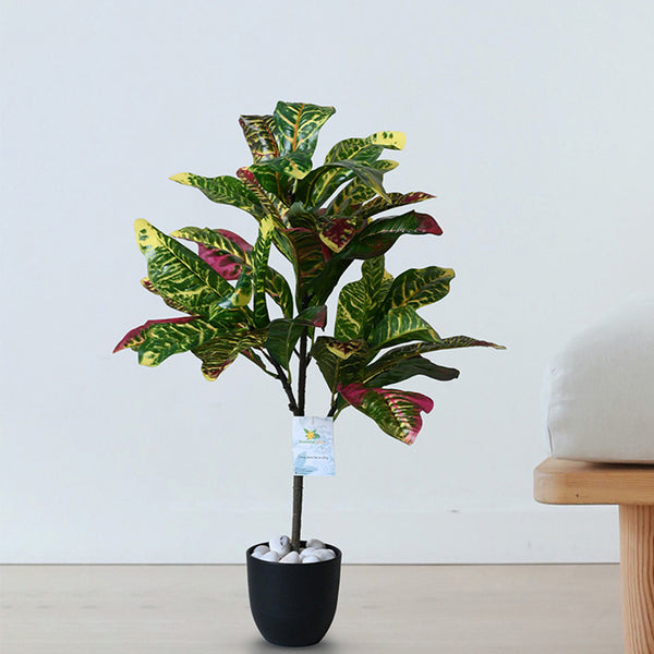 Buy Faux Everlasting Garden Croton Plant With Pot - 2.5 Feet Artificial Plants from Vaaree