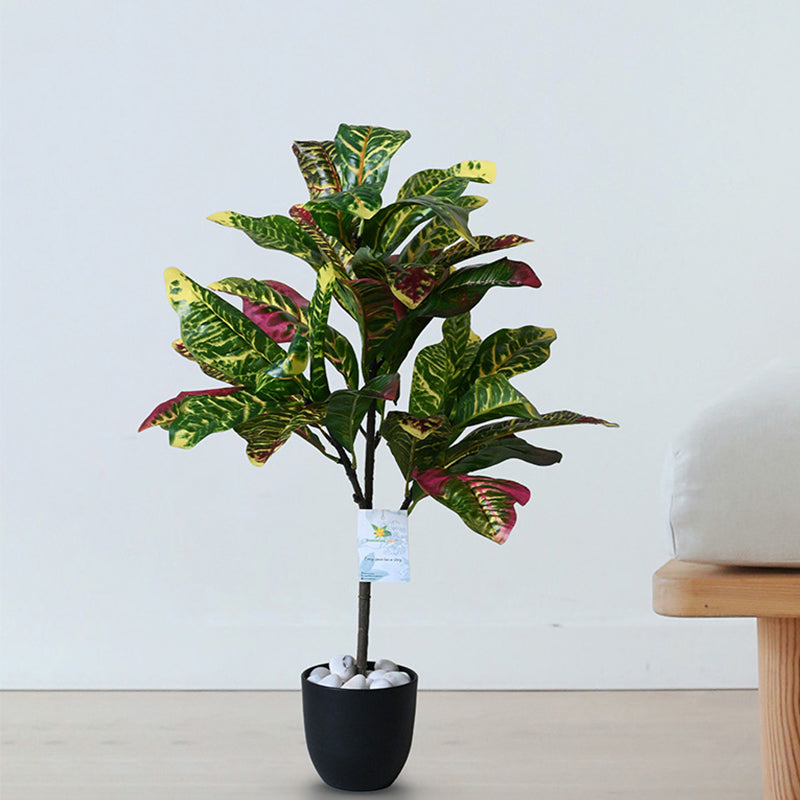 Buy Faux Everlasting Garden Croton Plant With Pot - 2.5 Feet Artificial Plants from Vaaree