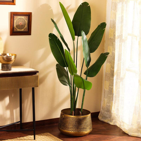 Buy Faux Realistic Banana Tree With Pot - 4.9 Feet Artificial Plants from Vaaree