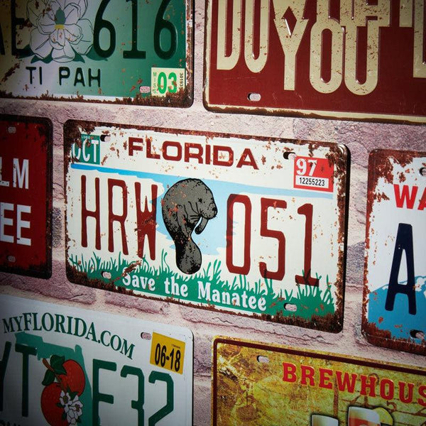 Florida Hrw 051 Number Plate Wall Accent