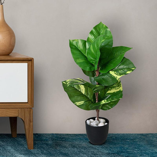 Buy Faux Everlasting Dieffenbachia Plant With Pot - 58 Cms Artificial Plants from Vaaree