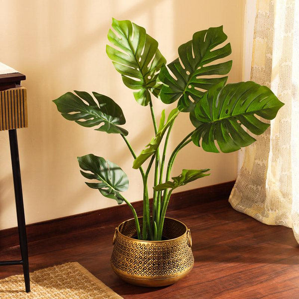 Buy Faux Realistic Monstera Plant With Pot - 3 Feet Artificial Plants from Vaaree