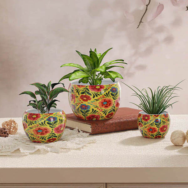 Buy Adni Ethnic Handcrafted Planter - Set Of Three Pots & Planters from Vaaree