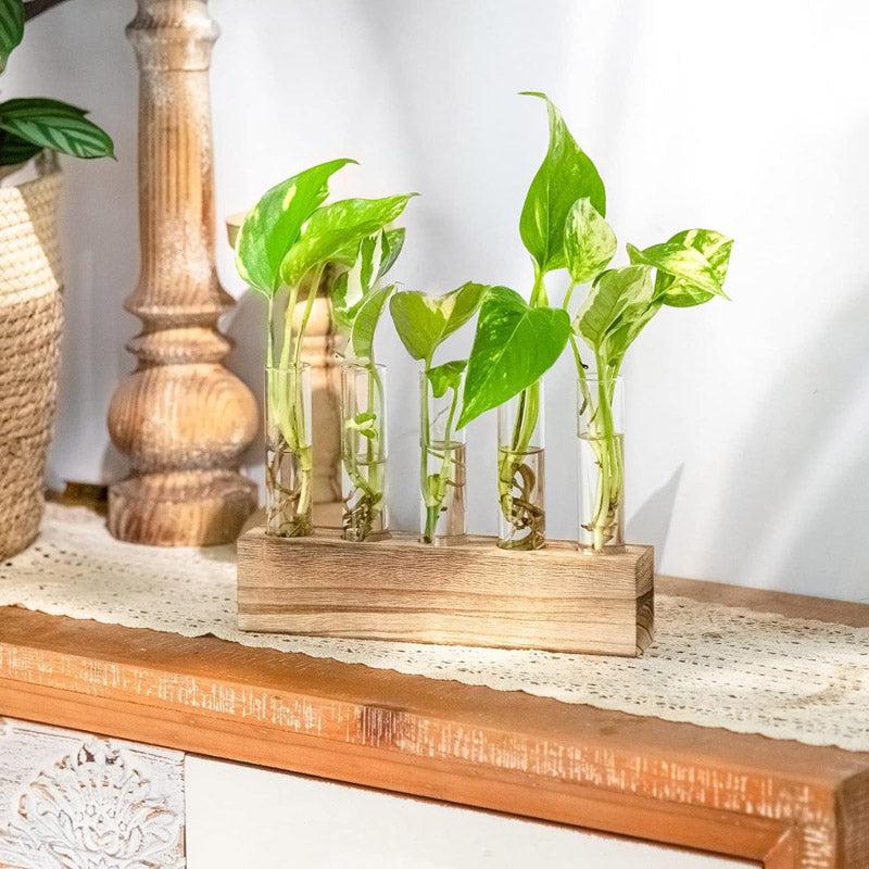 Buy Izar Test Tube Planter - Set Of Five Pots & Planters from Vaaree