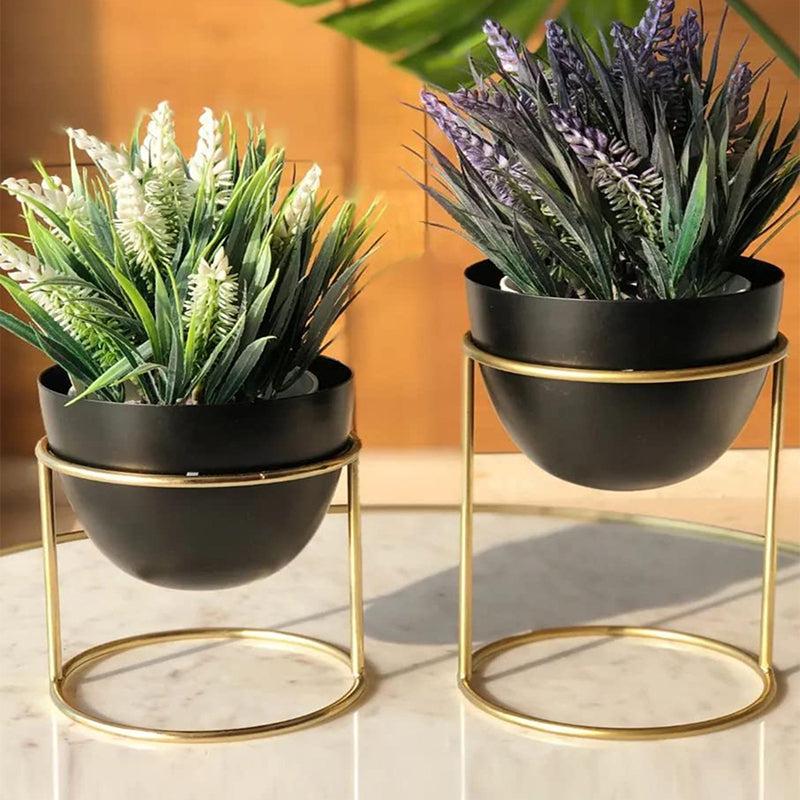 Buy Gina Planter With Stand - Set Of Two Pots & Planters from Vaaree