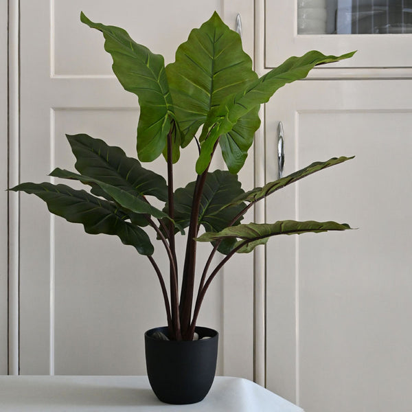 Buy Faux Everlasting Taro Plant With Pot - 3.0 Feet Artificial Plants from Vaaree