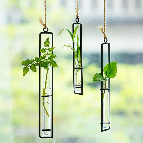 Buy Mita Hanging Test Tube Planter Pots & Planters from Vaaree