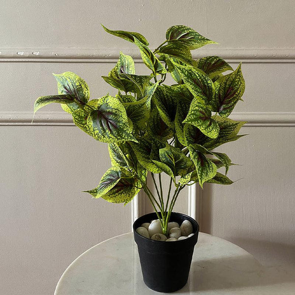 Buy Faux Everlasting Dragon Heart Coleus Plant With Pot - 48 Cms Artificial Plants from Vaaree