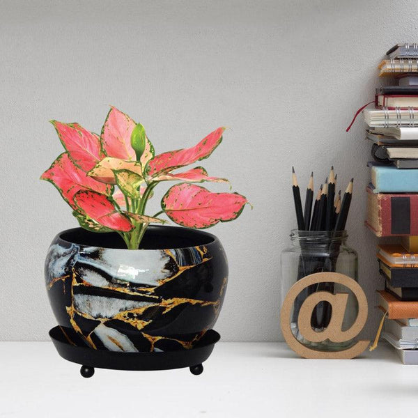 Buy Axl Smudge Planter Pots & Planters from Vaaree