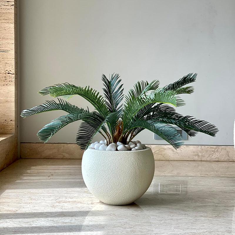 Buy Faux Cycas Plant - 2 Feet Artificial Plants from Vaaree