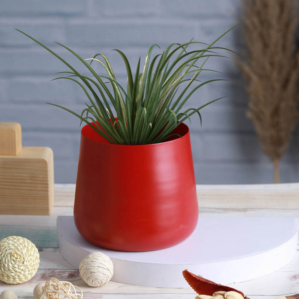 Buy Melva Handcrafted Planter - Red Pots & Planters from Vaaree