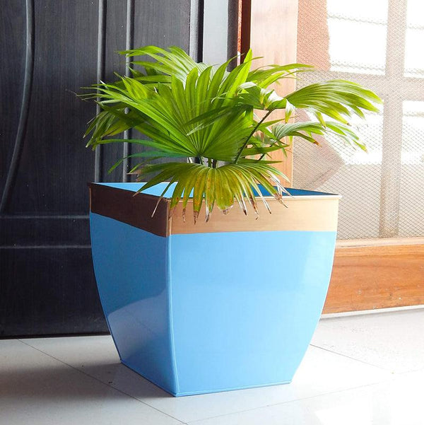 Buy Yula Goldo Planter (Blue) - Set Of Two Pots & Planters from Vaaree