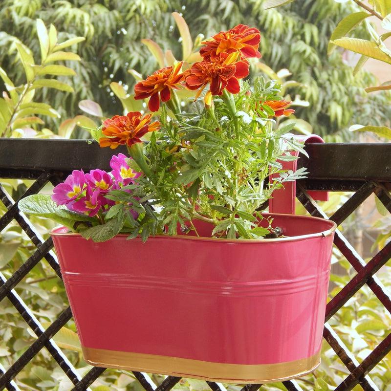 Buy Norva Hanging Planter (Pink) - Set Of Three Pots & Planters from Vaaree