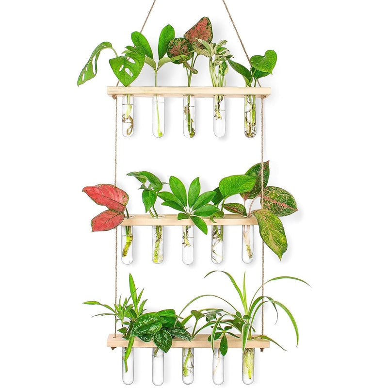 Buy Arana Hanging Test Tube Planter Pots & Planters from Vaaree