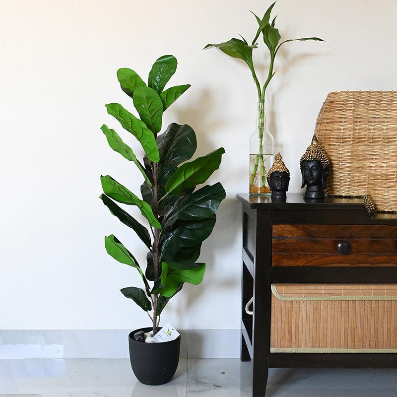 Buy Faux Everlasting Fiddle-Leaf Fig Plant With Pot - 2.9 Feet Artificial Plants from Vaaree