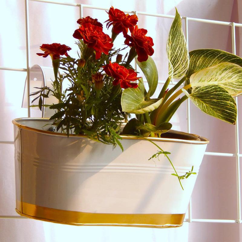 Buy Norva Hanging Planter (White) - Set Of Three Pots & Planters from Vaaree