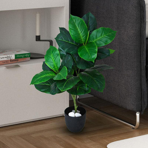 Buy Faux Everlasting Dieffenbachia Seguine Plant With Pot - 2.5 Feet Artificial Plants from Vaaree