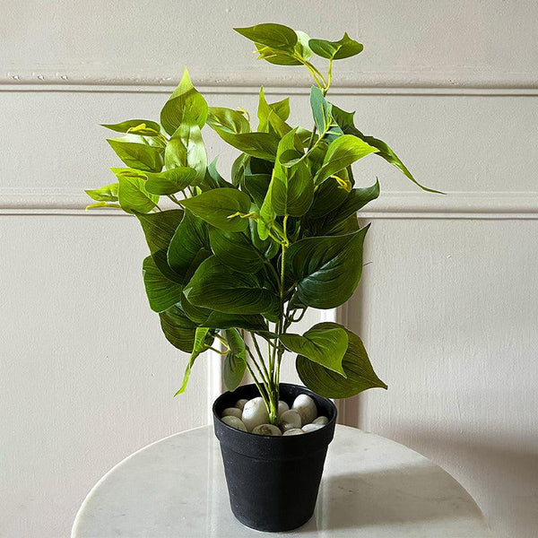 Buy Faux Everlasting Jade Pothos Plant With Pot - 48 Cms Artificial Plants from Vaaree