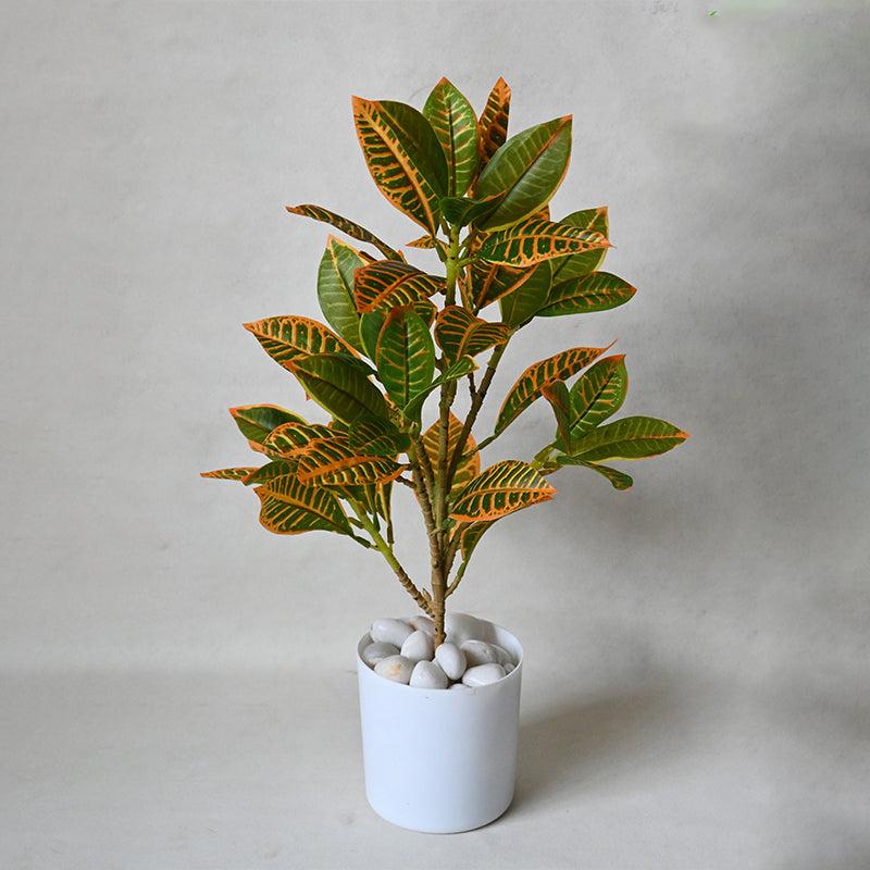 Buy Faux Everlasting Croton Plant With Pot - 46 Cms Artificial Plants from Vaaree