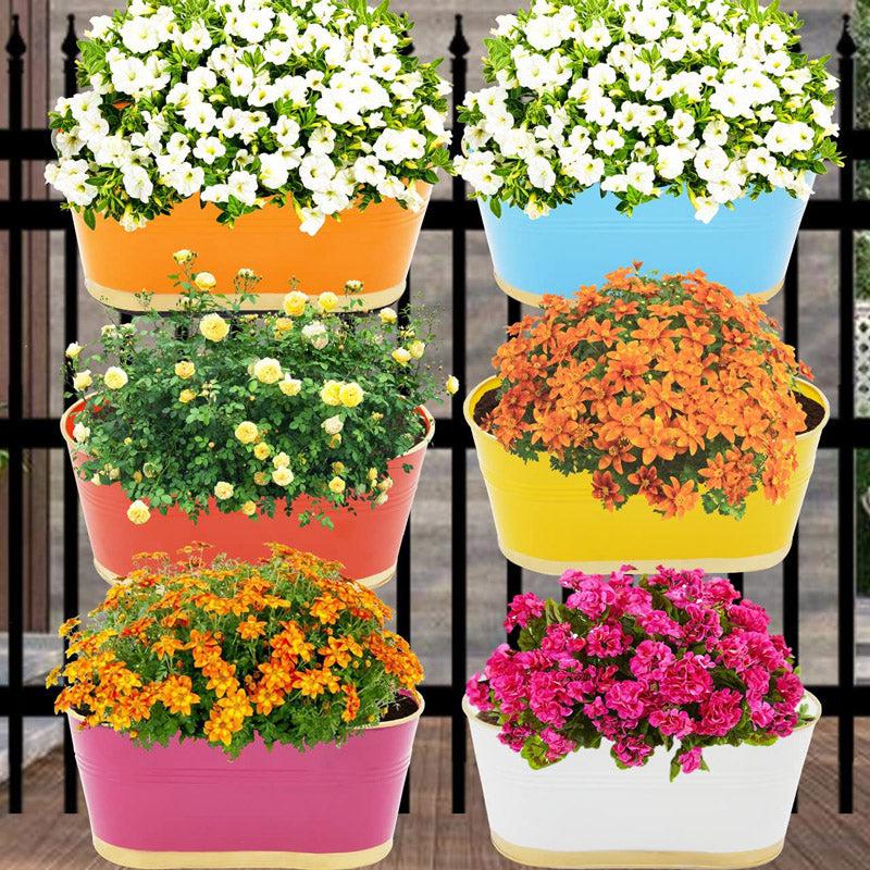 Buy Emelie White Planter - Set Of Six Pots & Planters from Vaaree