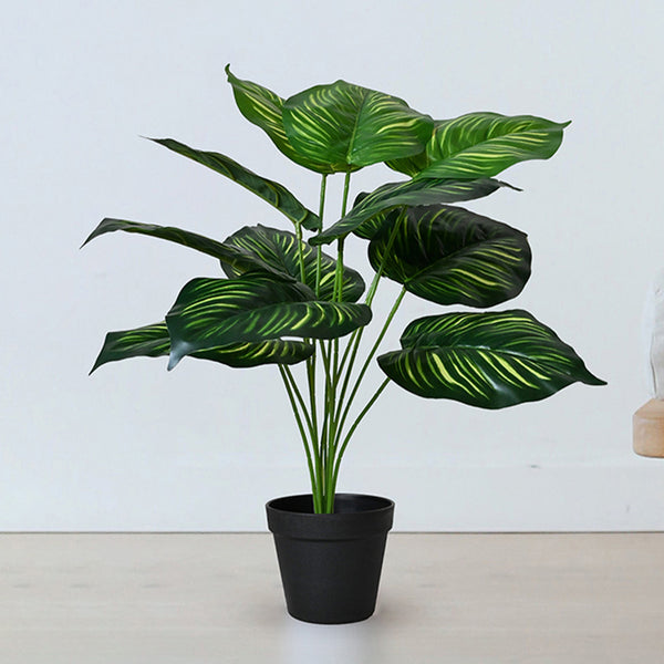 Buy Faux Everlasting Calathea Orbifolia Plant With Pot - 2.2 Feet Artificial Plants from Vaaree